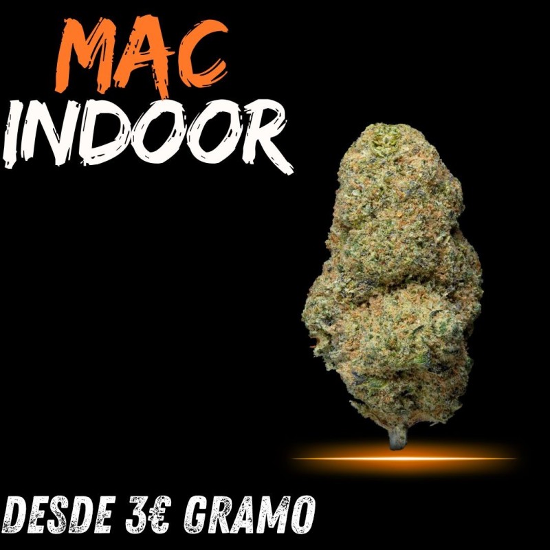 MAC CBD