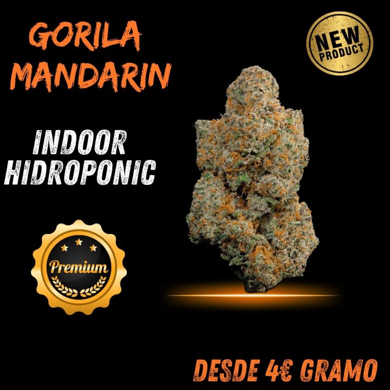 Gelato CBD 14% Indoor: Sabor Dulce y Cítrico | Envío Gratis +50€